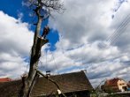 Strom nad střechou, plotem a vedením